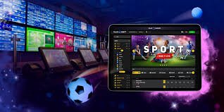 Betwinner Your Ultimate Guide to Winning Betting Experience